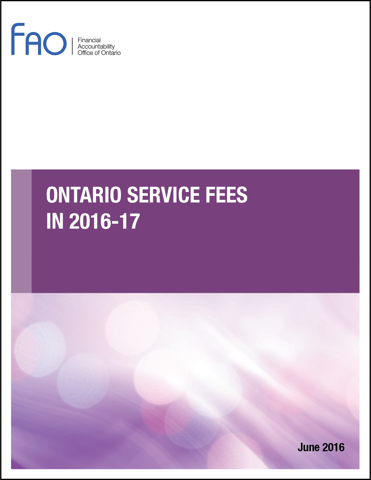 Ontario Service Fees in 2016-17